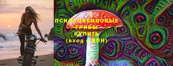 PSILOCYBIN Абаза