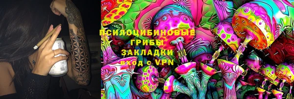 PSILOCYBIN Абаза