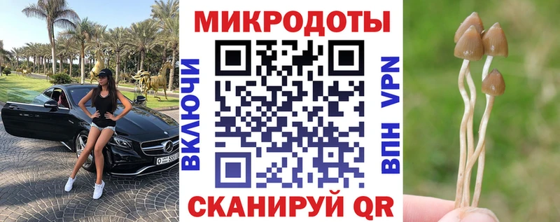 Псилоцибиновые грибы Cubensis площадка наркотические препараты mega ТОР Скопин где продают наркотики