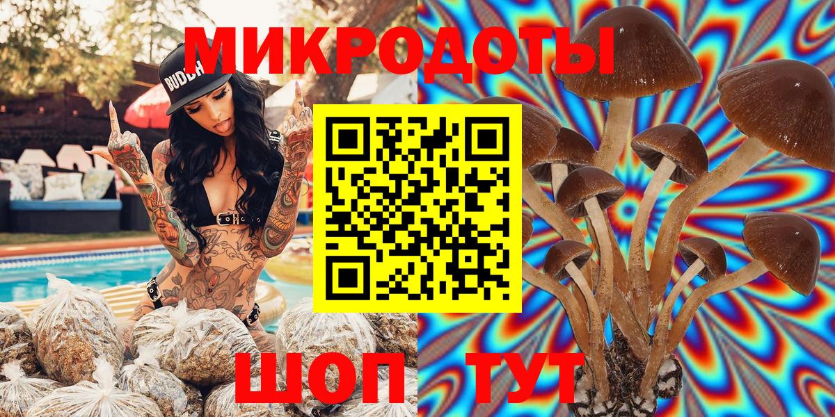 Скопин  Галлюциногенные грибы MAGIC MUSHROOMS  Псилоцибиновые грибы мицелий  Вход с VPN 