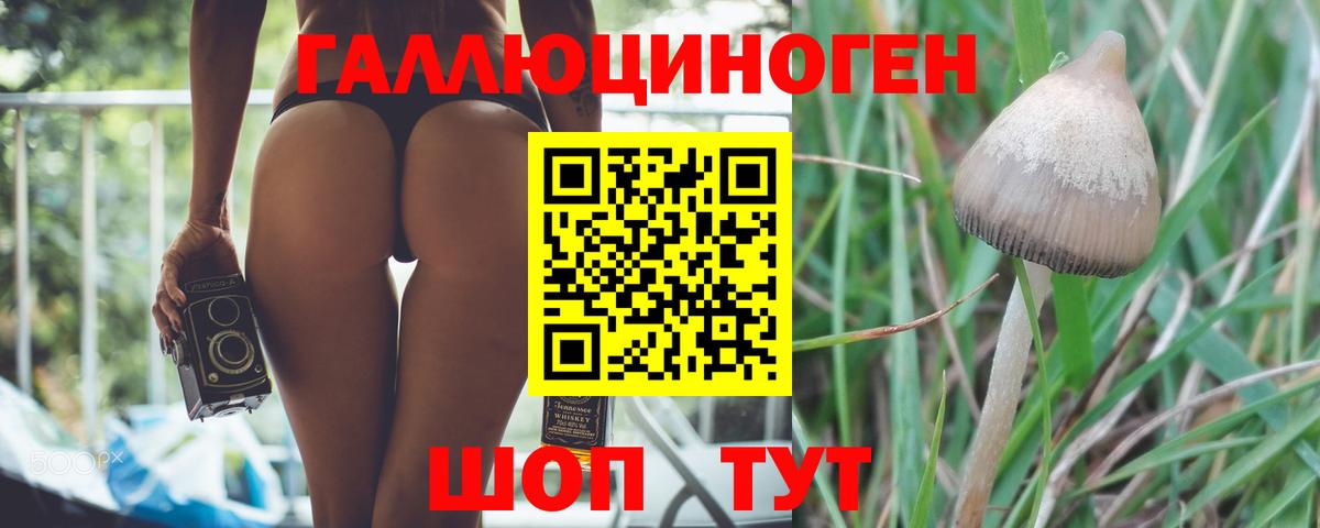 Псилоцибиновые грибы ЛСД Скопин
