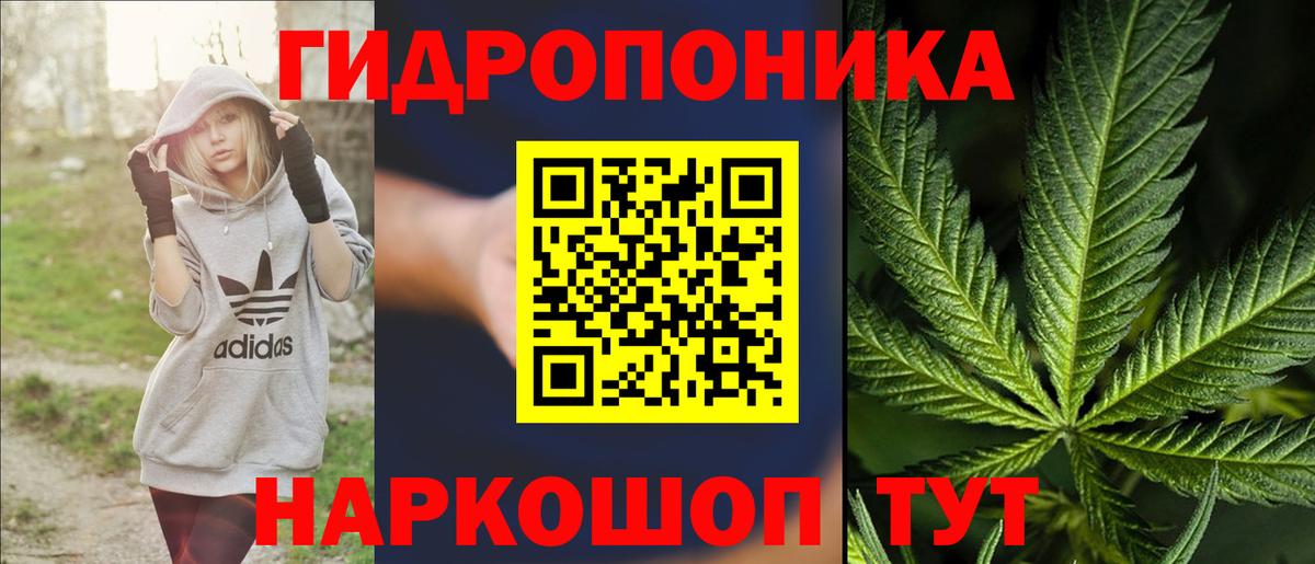 Шишки марихуана марихуана Скопин